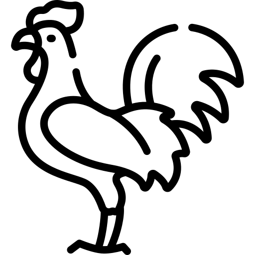 coq-gaulois.webp coq-gaulois.webp