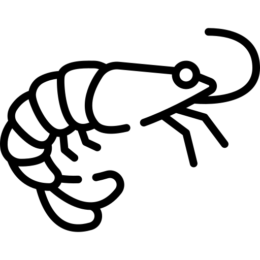crevette.webp